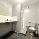 Simple bathroom with shower, sink, and patterned toilet seat.