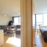 Modern apartment living room and bedroom interior