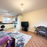 Modern open-plan kitchen and living area with TV.