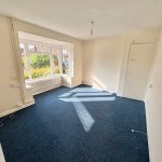Bright empty room with blue carpet and window