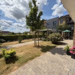 Sunny garden with hedge, path, and modern buildings.