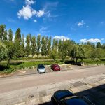 Sunny day with trees and parked cars on street.