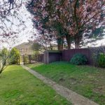 Sunny garden with trees and a shed.