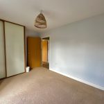 Empty room with carpet and wooden wardrobe.