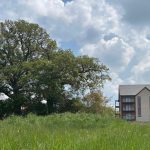 Countryside scene with tree and modern houses.
