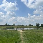 Countryside meadow with pond and wooden fence.