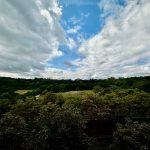 Cloudy sky over lush green landscape