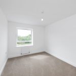 Empty white room with window and beige carpet.