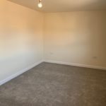 Empty beige room with carpet and light bulb.