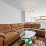 Comfortable brown sofa in modern living room