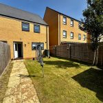 Sunny garden behind brick house and wooden fence
