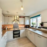 Modern kitchen with stove and plants by window.