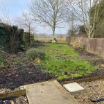 Overgrown backyard garden with trees and grass