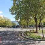 Empty car park with trees on sunny day.