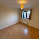 Empty bedroom with wooden flooring and window