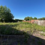 Overgrown garden with tall grass and wooden fence.