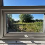 Sunlit garden view from a white window.
