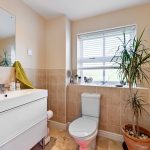 Modern bathroom with plants and large window