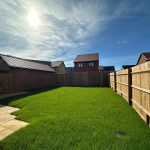 Sunny garden with green lawn and wooden fencing.