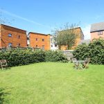 Sunny backyard with green lawn and chairs