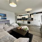 Modern open-plan living room and kitchen interior