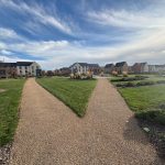 Pathway through modern housing estate with greenery.