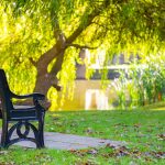 Park bench under a willow tree beside pond.