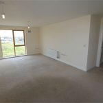 Spacious empty room with large window and carpet.