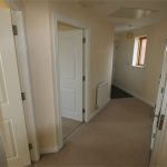 Bright hallway with beige carpet and multiple doors.