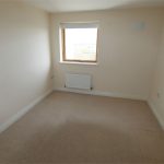 Empty room with beige carpet and window