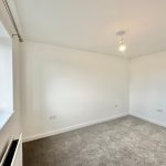 Empty white room with grey carpet and window