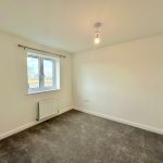 Empty carpeted room with window and light.