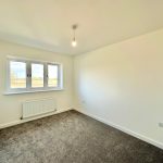 Empty bright room with grey carpet and window.