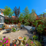 Sunny garden with plants and seating area.