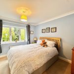 Cosy bedroom with window view and soft lighting.