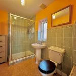 Modern bathroom with shower and orange walls.