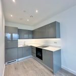 Modern grey kitchen with sleek cabinets and appliances.