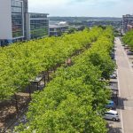 Aerial view of tree-lined street and modern buildings.