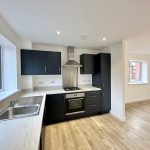 Modern kitchen with black cabinets and wood flooring.