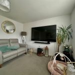 Modern living room with sofa, TV, and plants.