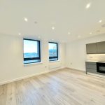 Modern empty flat with kitchen and windows.