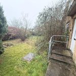 Overgrown garden with house entrance steps