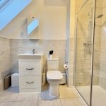 Modern bathroom with shower and skylight.