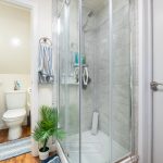 Modern bathroom with shower and plants