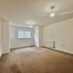 Spacious empty room with neutral decor and carpet.