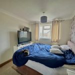 Cosy bedroom with TV, bed and cat.