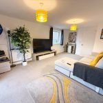 Modern living room with TV and sofa