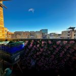 Urban balcony with flowers and crates under clear sky.