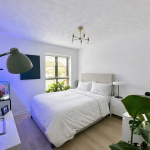 Modern bedroom with plants and large window